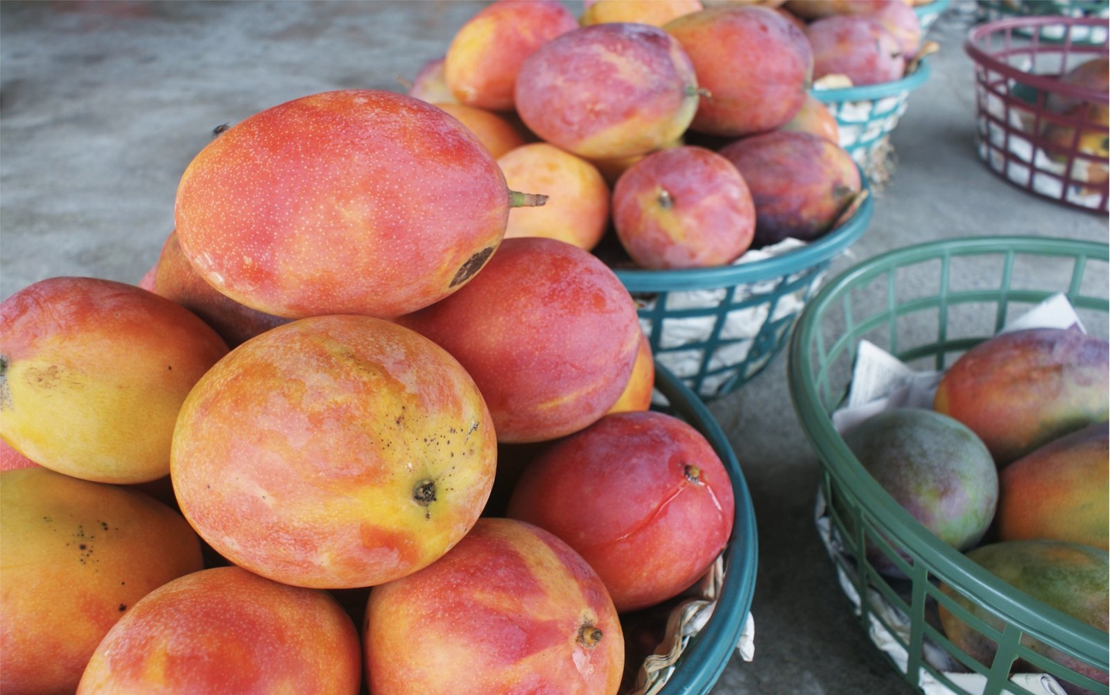 旅行游记台湾,台湾大陆游记视频