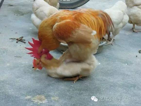 切尔西vs曼城欧冠阿圭罗评价,曼城3比1曼联阿奎罗破门