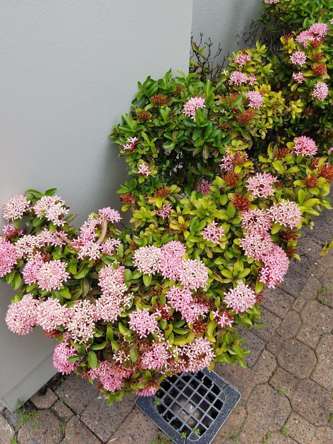 塞班冬游印象记,身处在美景中内心的感受