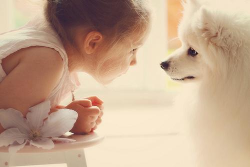 狗身上的腥味怎么才能去除,狗狗身上又腥又臭怎么回事