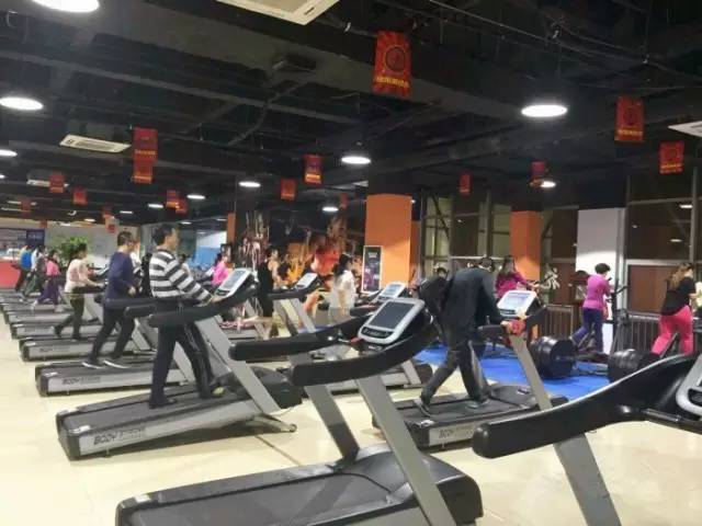 器械最多最全的健身房,健身设备最全的健身房