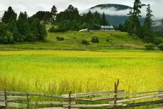广东的草原在哪,广东附近哪里有草原