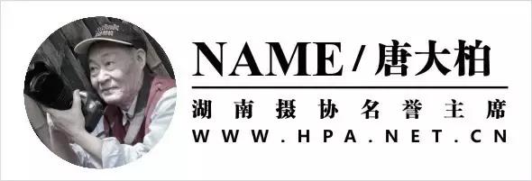 捕获大鱼惊悚片,拍到鲨鱼捕食鱼的真实一幕