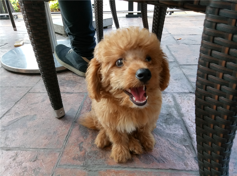 颜值加持,魅蓝e全部参数