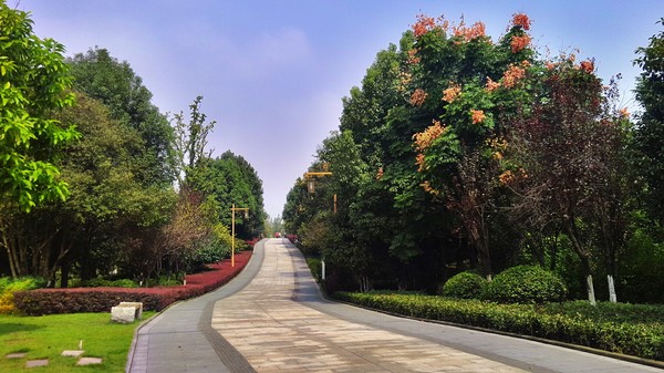 重庆免费景点一览表大全,重庆免费景点合集