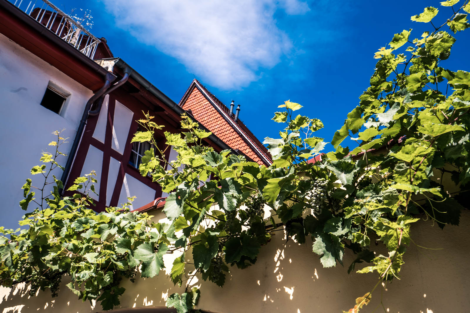 airbnb必住,airbnb怎样入驻