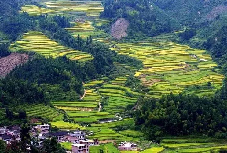 国庆佛山哪里好玩的景点适合小孩,佛山周边国庆旅游推荐好去处