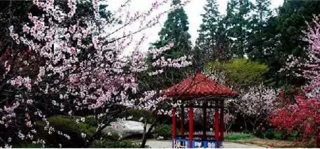 九江好玩的地方免费,九江市好玩的地方