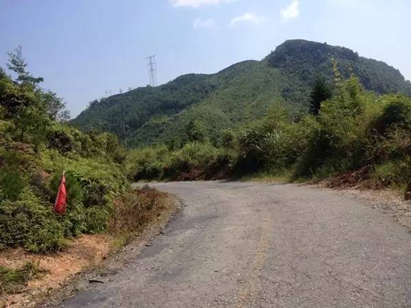 霞浦东海一号公路路线图最新,霞浦县柏洋乡联七线