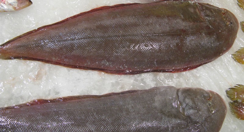 这种鱼真的不能给娃多吃,什么鱼炖汤好喝有营养适合孩子吃