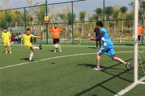 鐣呬韩闃冲厜浣撹偛,鐣呬韩闃冲厜