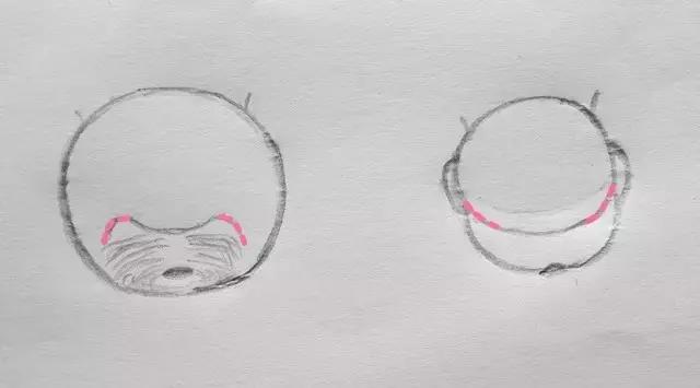 比熊标准装,比熊赛级造型