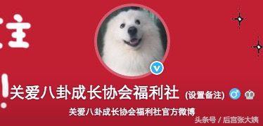 杨幂的发际线是怎么恢复的,杨幂发际线秃到后脑勺了