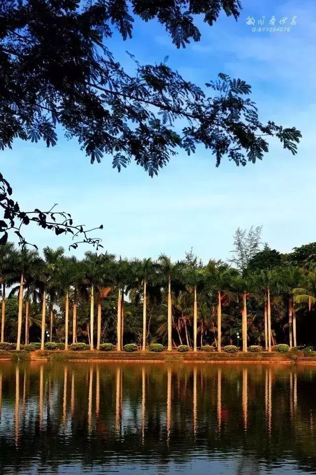 海南万宁国庆旅游攻略,万宁十大旅游必买品