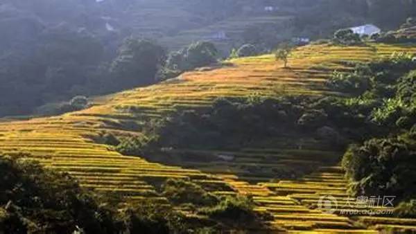 涓嶈兘澶栧嚭娓哥帺瀹呭湪瀹堕噷,涓嶈兘澶栧嚭鏃呰鍦ㄥ涔熷緢蹇箰