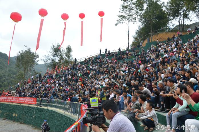 2018年贵州超级牛王争霸赛,2022年贵州牛王争霸赛第一名