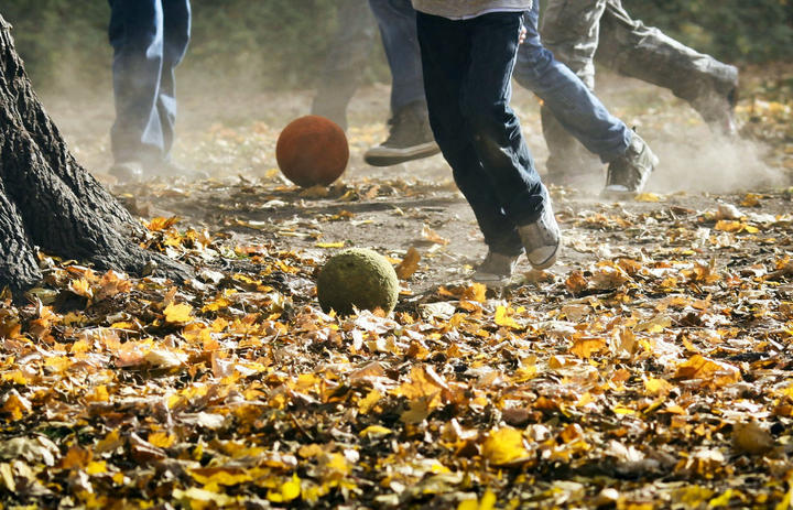 足球狗怎么样,足球狗后卫怎么踢好