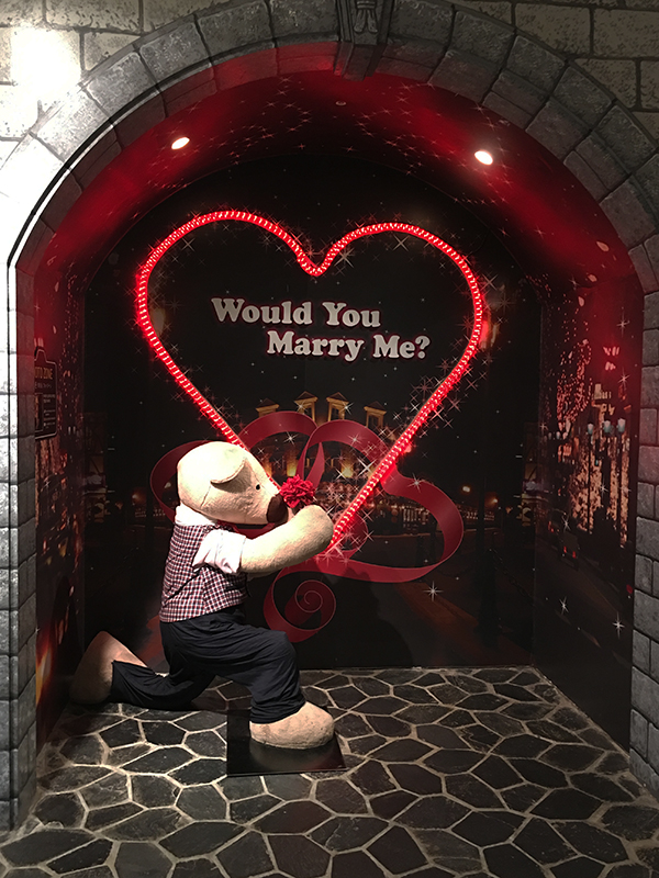 泰迪熊博物馆韩国购物,泰迪熊博物馆韩国图