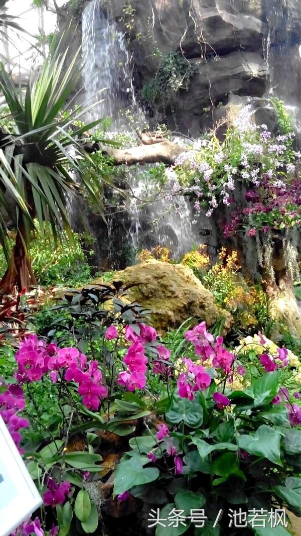 青岛,女汉子和小清新提前过端午