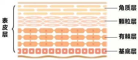 你的护肤是不是无用功,你的护肤痛点是什么