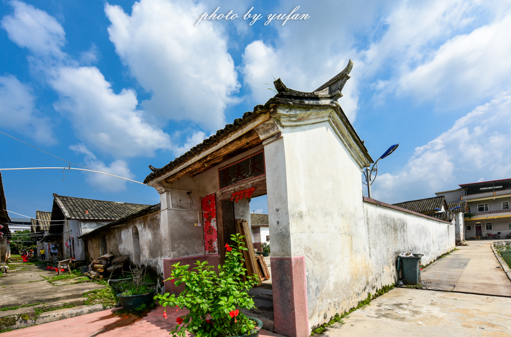 丝路奇迹:观围屋之典范,赏苏铁之传奇