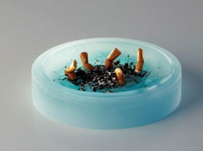 花卉里有小黑虫怎么办,家里养绿植怎么避免生虫