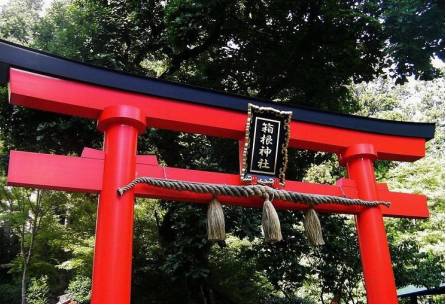 去日本旅游带多少钱合适一点,带狗狗去日本旅游要多少钱