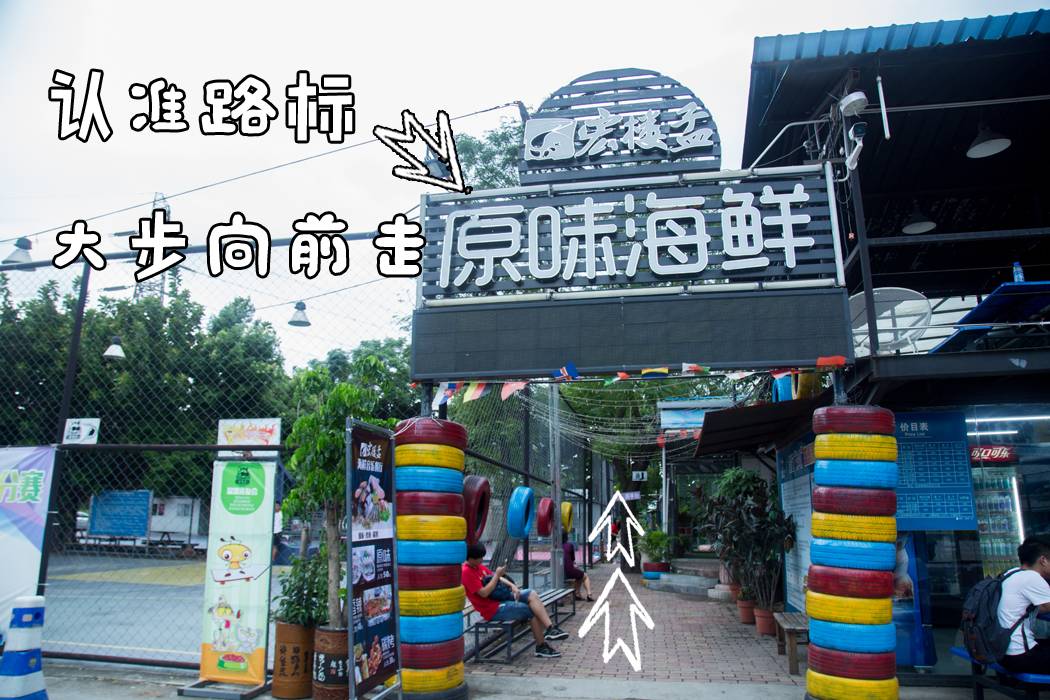 一千平室外宠物乐园,拥有数百只流浪猫的猫咪公园