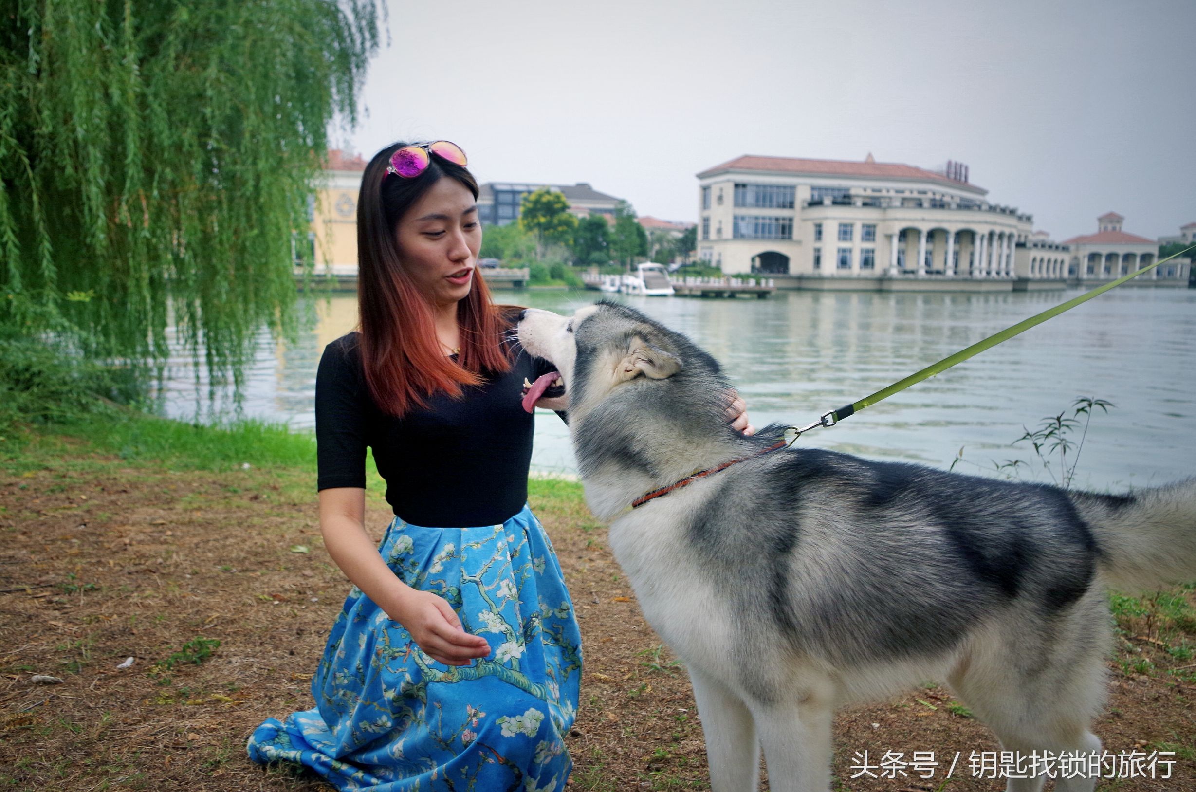 来苏州不去拙政园可以去哪里,去苏州不去景点可以到什么地方耍