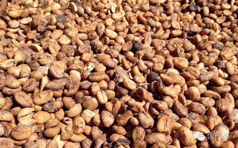 五一出游巴厘岛带什么,去巴厘岛必买的10件衣服