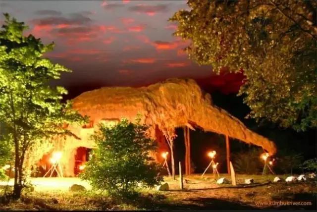 忍不住爱上你,忍不住爱上了你