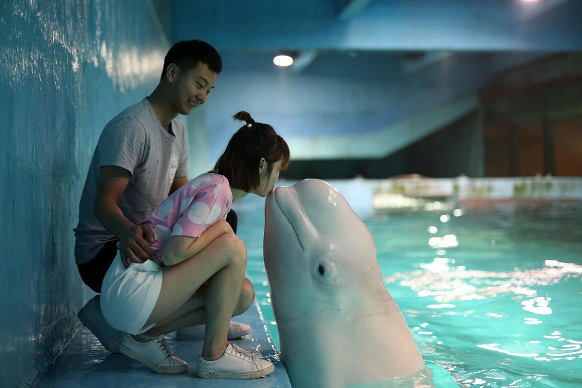 游大连圣亚海洋世界,大连圣亚海洋世界跟团游