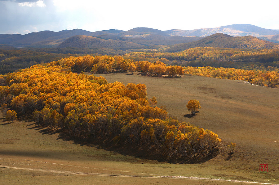 坝上草原雪景航拍,坝上草原秋景美图