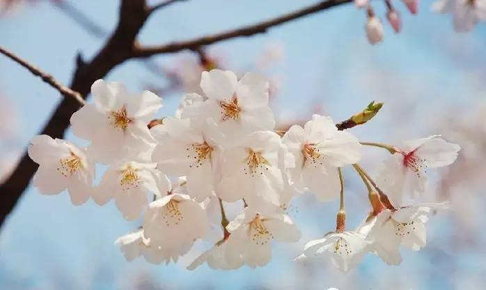 怎么对付春季过敏,怎么区别换季过敏还是护肤不当