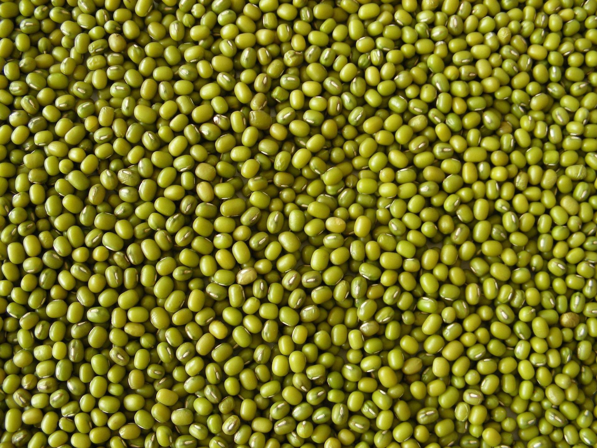 绿豆面膜和补水面膜,绿豆面膜补水保湿