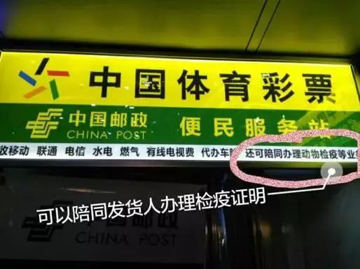 独家！教你如何带着宠物“坐“火车！