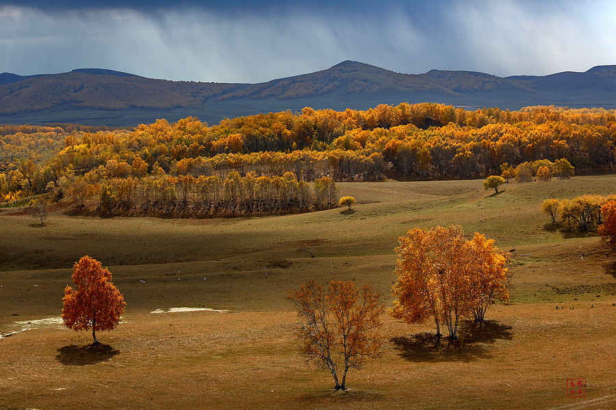 坝上草原雪景航拍,坝上草原秋景美图