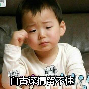 号外完整版,《号外》全集解说