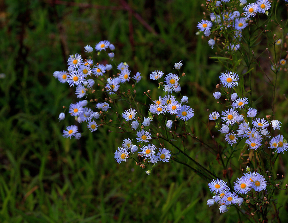 我写一首诗完美地告别九月，打开十月的那扇门