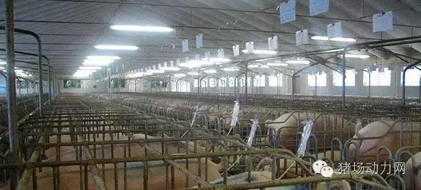 人工授精是什么行业,人工授精属于什么工程的产物