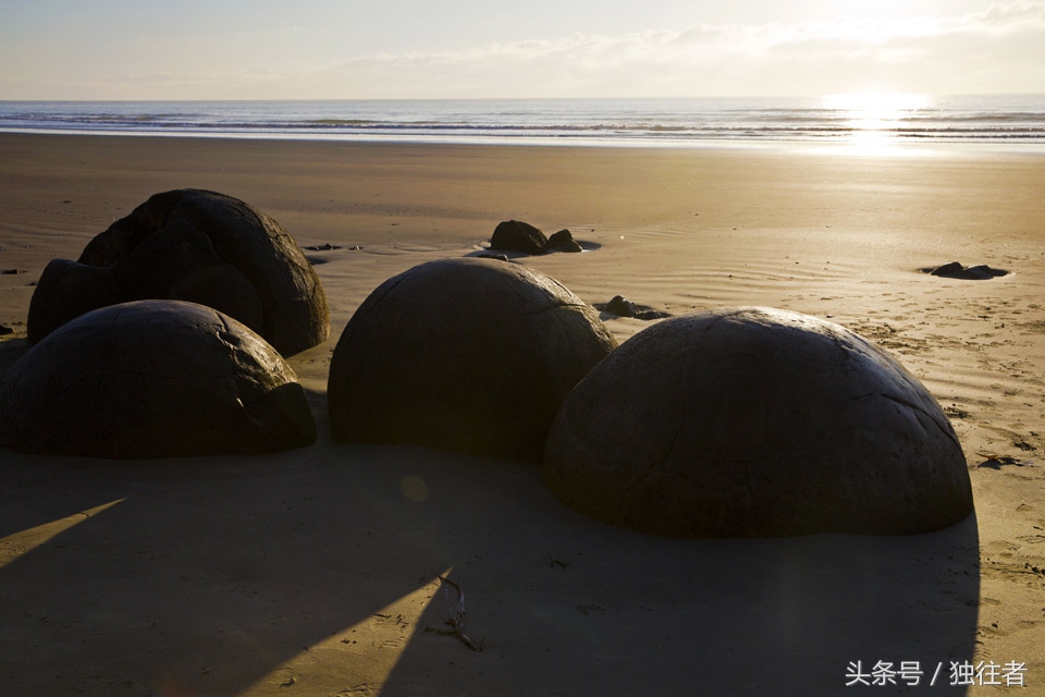 摩拉基大圆石,摩拉基大圆石沙滩