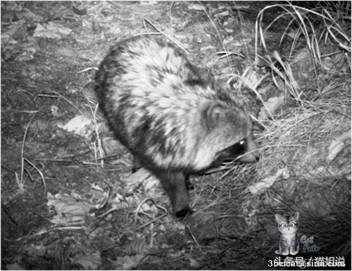 怀柔的北京生活,野性内蒙古