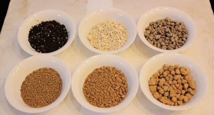 新手花友就先学这4个小技巧吧,新手养花妙招视频教程全集