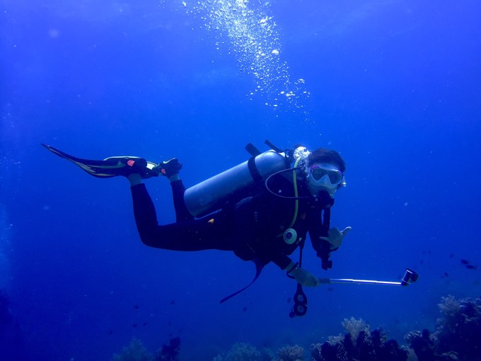 菲律宾潜水游记 (回忆菲律宾潜水的时光)