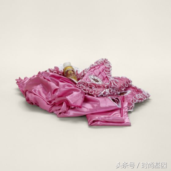 禁止食品进入的法律规定,禁止带入美国的中草药