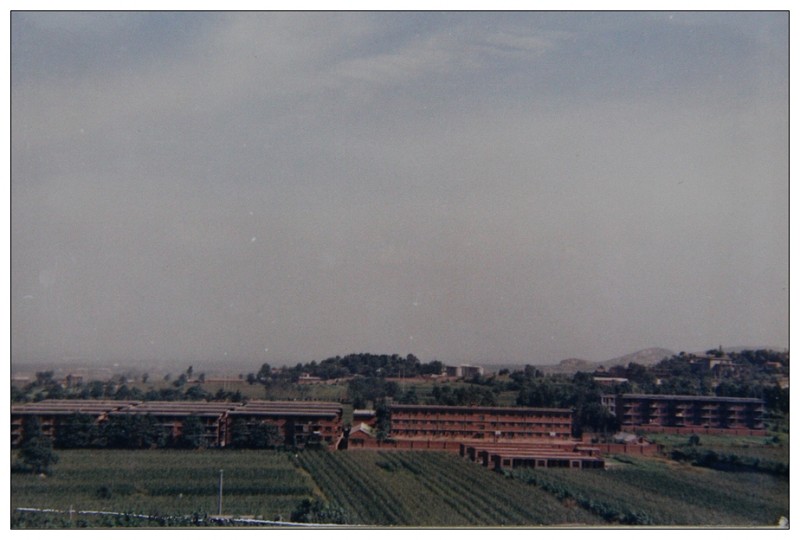 林甸县70年代老照片,林县老照片全集