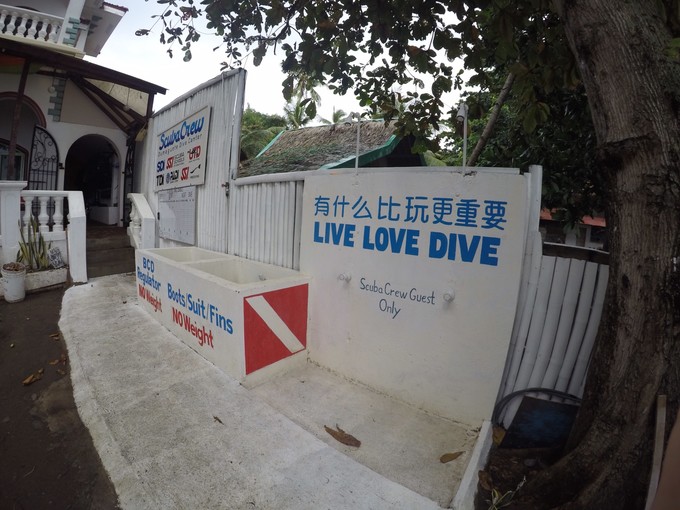 菲律宾潜水游记 (回忆菲律宾潜水的时光)