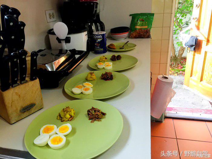 野鹅旅行,野鹅自驾无人区