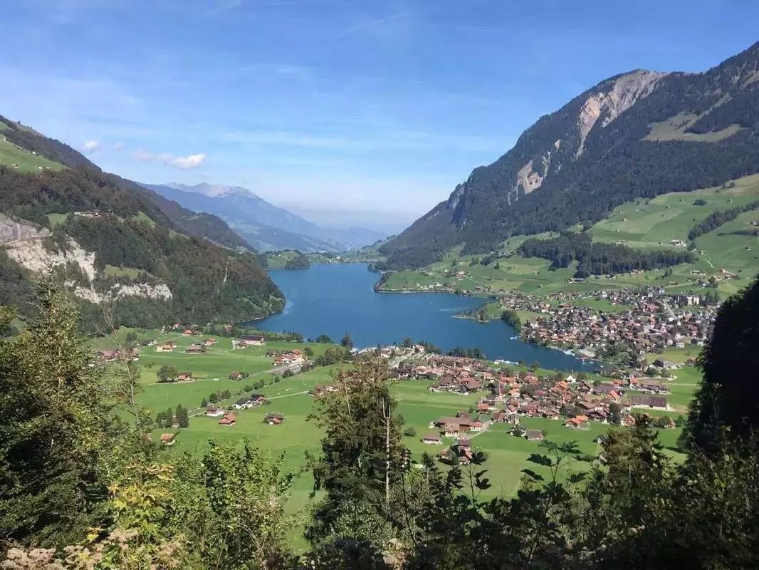 蓝瘦香菇在这里视频,蓝瘦香菇在法国