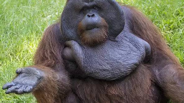 朋友圈发海边泳衣照好不好,朋友圈晒沙滩泳装